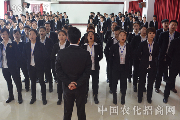 完美的團(tuán)隊可以成就一個完美的自己