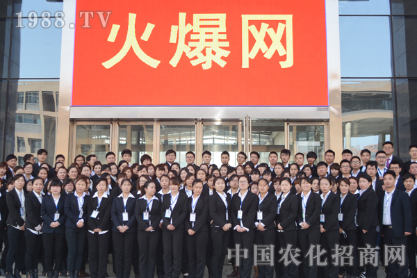 完美的團(tuán)隊可以成就一個完美的自己
